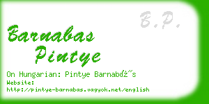 barnabas pintye business card